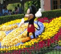 Disneyland